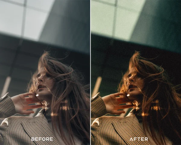 Memoir Preset Collection - Image 3