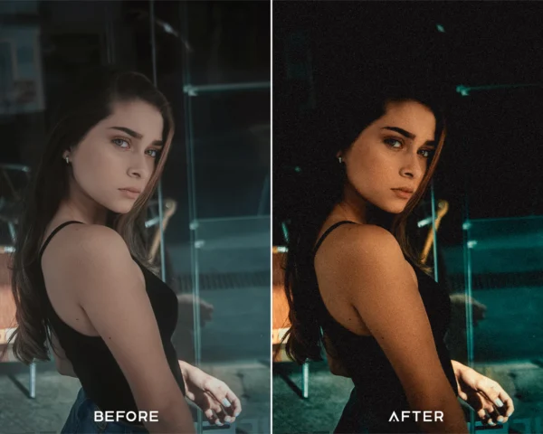 Memoir Preset Collection - Image 2
